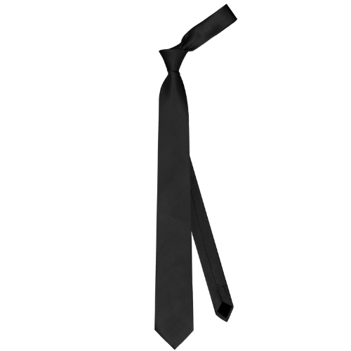 Borlix Classic Black Textured Necktie